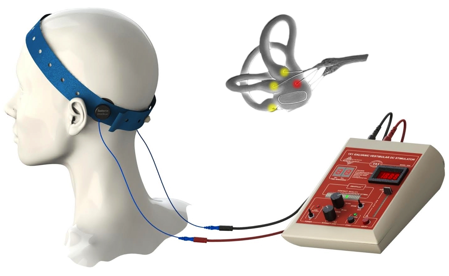 Galvanic Current Physiotherapy at Shelly Bruce blog