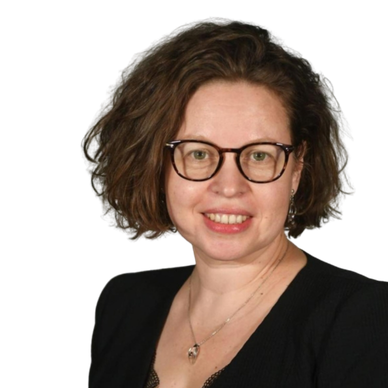 Speaker at Soterix Medical Workshop: 